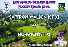 Image result for Saffron Walden Cricket Club