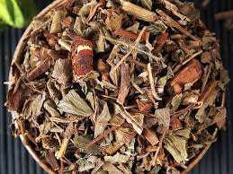 Attēlu rezultāti vaicājumam “Agrimonia pilosa bud”