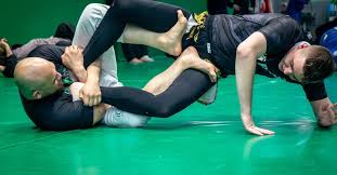 Image result for Team Renegade BJJ & Judo