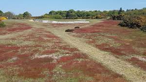 Image result for Aldbrough Badminton Club