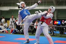 Image result for Taekwondo Athletes Program USA
