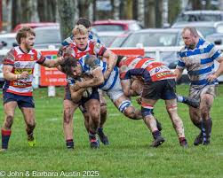 Image result for Morpeth Rugby Football Club Ltd