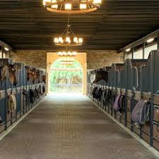 Image result for Woodhill Riding Club