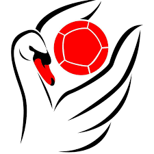 Image result for North Wales Boccia