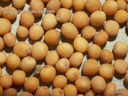 Attēlu rezultāti vaicājumam “Sinapis alba fruit”