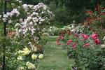 Oakland Rose Garden | Living in the O