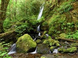 Image result for синхараджа