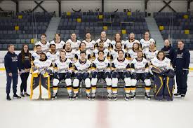 Image result for Romford Raiders