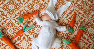 Image result for adele enersen