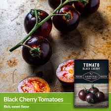 Afbeeldingsresultaat voor black cherry tomato