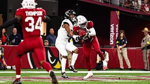 Image result for Ipswich Cardinals American Football Club