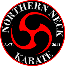 Image result for Northern Freestyle Karate Association