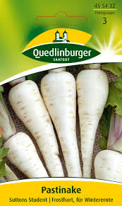 Image result for Pastinake