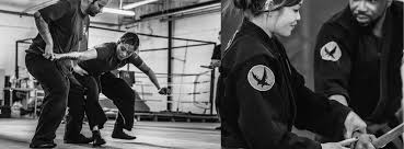Image result for Budo Warrior Schools
