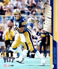 Image result for Pentland Panthers