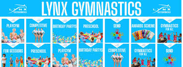 Image result for Lynx Gymnastics Club