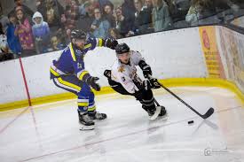 Image result for Chelmsford Chieftains