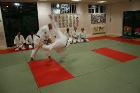 Image result for London Aikido Club