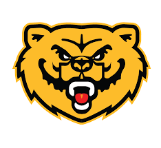 Image result for Bai Netball Club