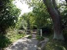 near to Harman's Cross, Dorset, Great Britain. Forest Lane - via Daymix