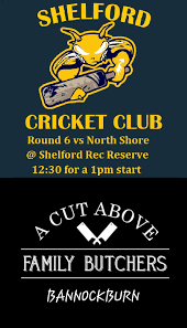 Image result for Shalford Cricket Club