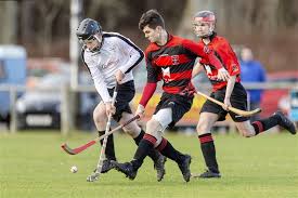 Image result for Lovat Shinty Club