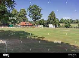 Image result for Wrecclesham Cricket Club