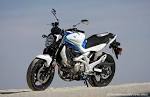2009 Suzuki Gladius 