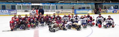 Image result for Peterborough Phantoms