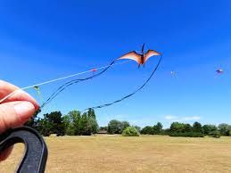 Image result for Poole Kite Fliers
