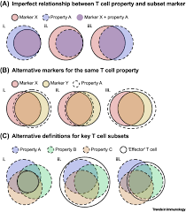 「 X t B   N X」の画像検索結果