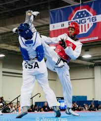 Image result for Taekwondo Athletes Program USA