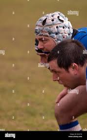 Image result for Haslemere Community Rugby Club