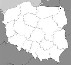 Attēlu rezultāti vaicājumam “Badhamia versicolor”