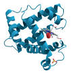 <b>Protein</b>