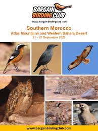 Image result for England Staffordshire Birding Club