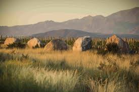 Картинки по запросу Altamira