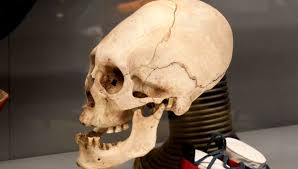 Image result for elongated skulls