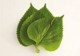 Image result for 깱깲깳깴깵깶깷깺깾깿꺀꺁꺂꺃꺆꺇꺈꺉꺊꺋꺍꺎꺏꺐