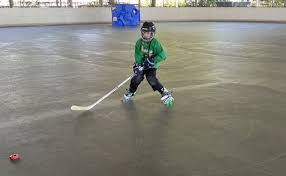 Image result for Walsall Roller Hockey Club