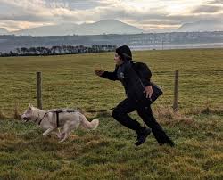 Image result for Team Ice Fire British Sled Dog Racing Team