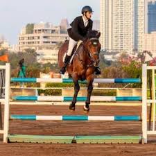 Image result for Kings Ranch Riding School/Club