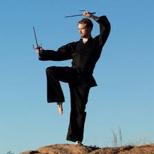 Image result for Sai Martial Arts