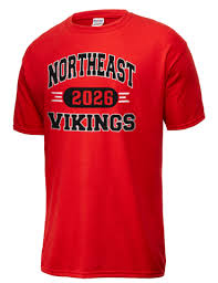 Image result for North East Vikings