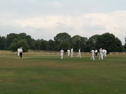 Image result for Arthington Cricket Club