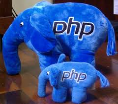 Image result for elephpant