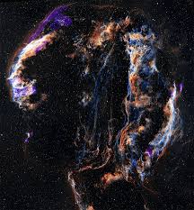 Attēlu rezultāti vaicājumam “Cygnus cygnus”