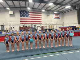 Image result for Elite Recreational Gymnastics Club