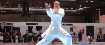 Image result for Dragon Martial Arts Association