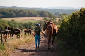 Image result for Dalkeith Park Equestrian Club